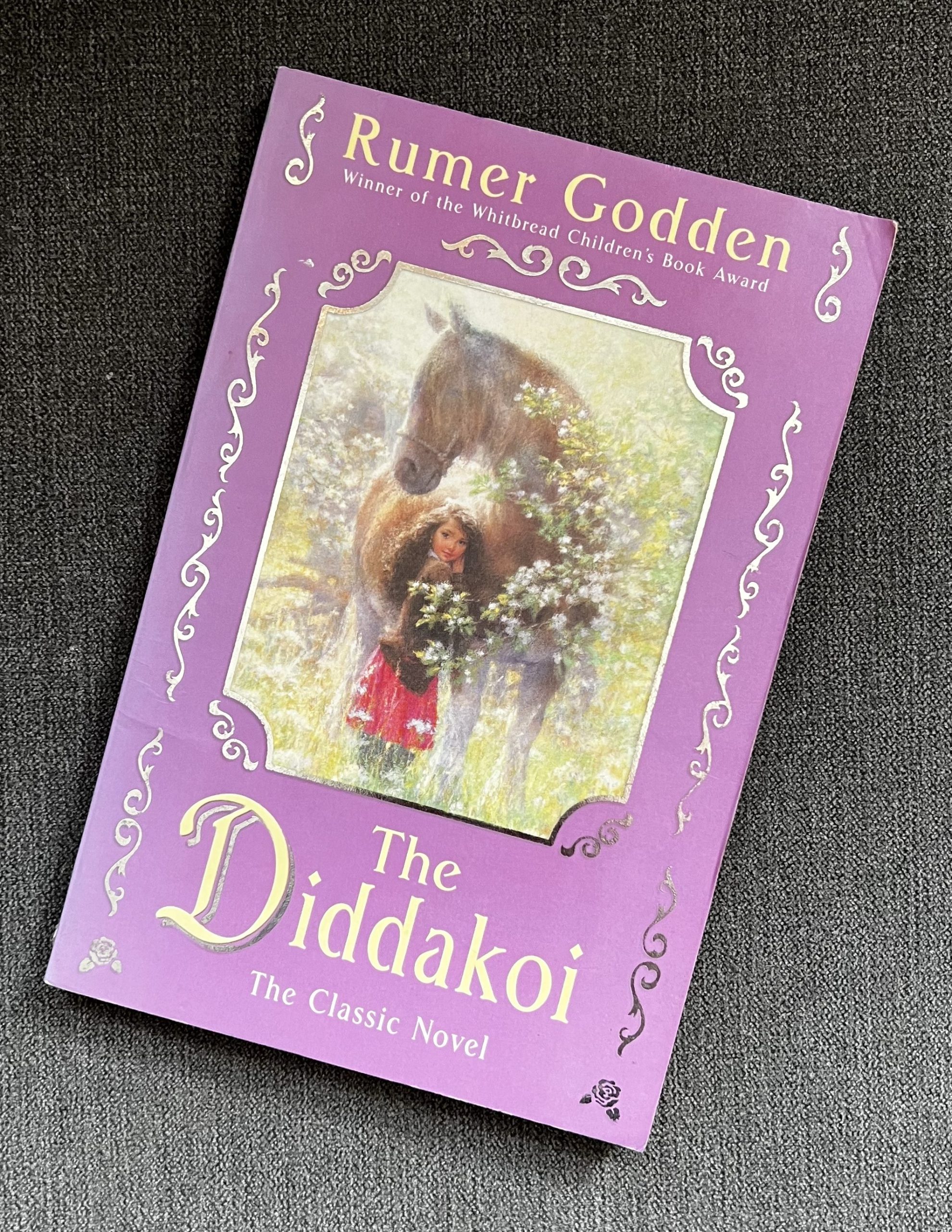 Book cover image - The Diddakoi by Rumer Godden
